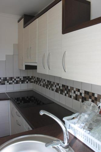 Kuchyň nebo kuchyňský kout v ubytování Mesteri Apartman