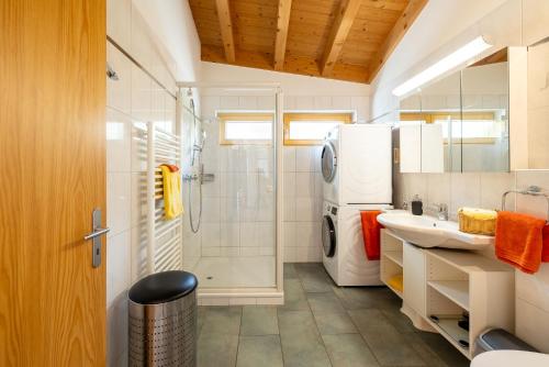 La salle de bains est pourvue d'une douche, d'un lavabo et d'un réfrigérateur. dans l'établissement Trü-Sura Nr. 9, à Scuol