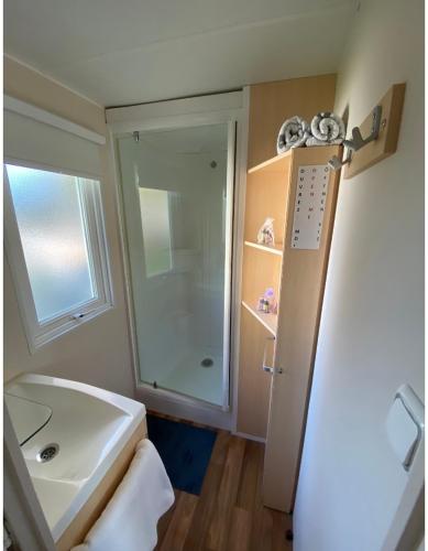une petite salle de bain avec un lavabo et une douche dans l'établissement Mobile home proche de EUROPA PARK, à Boofzheim