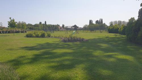 a large grass field with a large shadow of a tree at B&B 't Meesterhof in Deinze