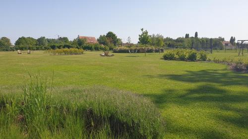 a large field of grass with trees in the background at B&B 't Meesterhof in Deinze