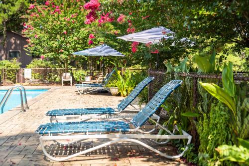 two lounge chairs and umbrellas next to a pool at Mountain Harbor Queen Guest Room on Lake Ouachita in Mount Ida