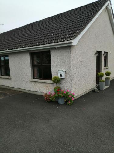 a house with potted plants in front of it at Lynn's Lodge, International Airport 15mins in Randalstown