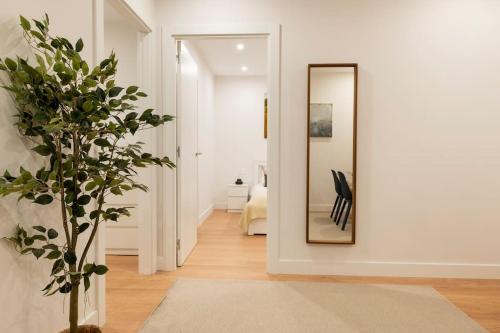 a hallway with a mirror and a potted plant at OT Residence 5 bedrooms 4 bathrooms luxury apartment in Old Town in Bilbao