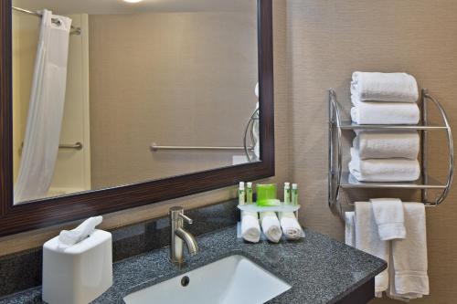 a bathroom with a sink and a mirror and towels at Holiday Inn Express Harrisburg NE, an IHG Hotel in Manadahill