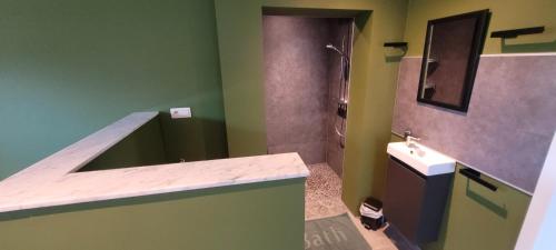 a green bathroom with a sink and a shower at Gîte de Trasenster in Trooz