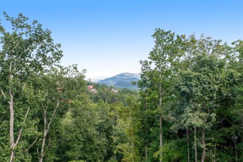a group of trees with mountains in the background at The Laughing Salamander in Dupont Springs