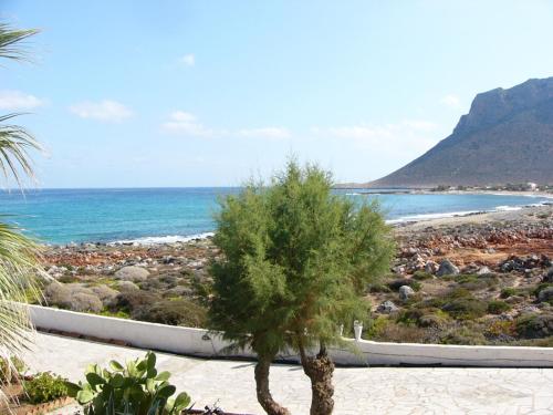 a palm tree on a beach with the ocean at Blue Beach Villas Apartments in Stavros