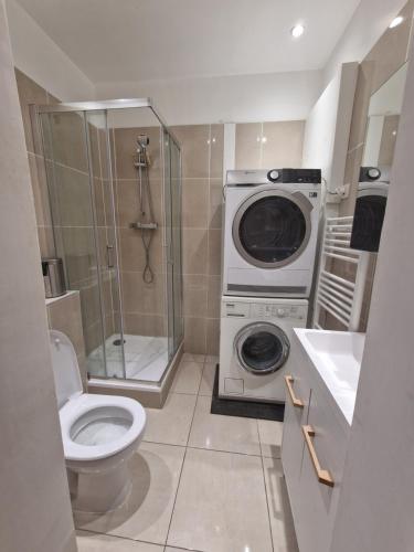 La salle de bains est pourvue d'un lave-linge et de toilettes. dans l'établissement Appartement 2 chambres près de Genève, à Contamine-sur-Arve
