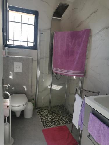 La salle de bains est pourvue d'une douche, de toilettes et d'une serviette violette. dans l'établissement Chambre d'hôte, à Grabels