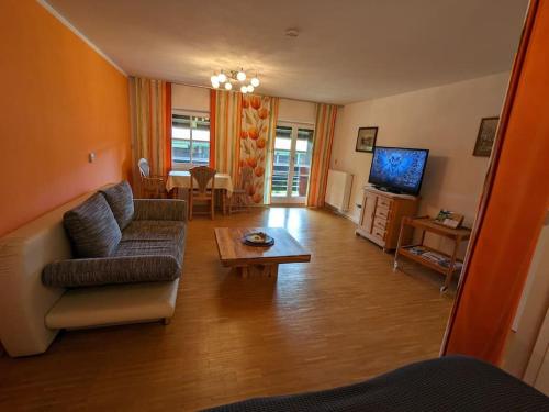 TV a/nebo společenská místnost v ubytování Ulmenzweig Apartment