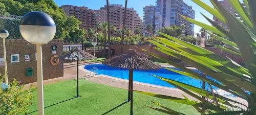una piscina con 2 sombrillas en el césped en Costa de Marfil I-SERVHOUSE, en Castellón de la Plana