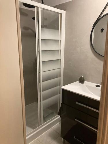 une salle de bain avec une douche, un lavabo et un miroir dans l'établissement Agréable maison avec jolie terrasse extérieure, à Champigneulles