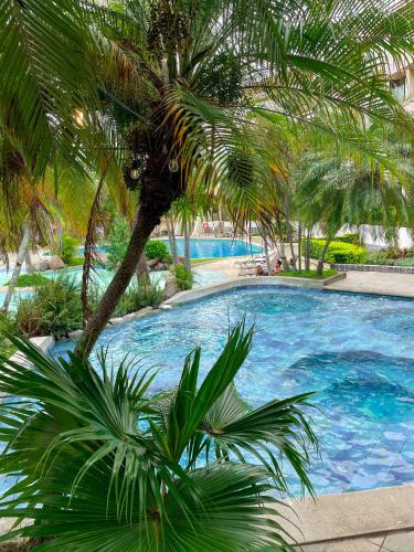 Kolam renang di atau dekat dengan Wyndham San Jose Herradura