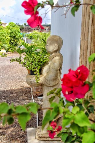 Κήπος έξω από το FINCA BEROLO 1