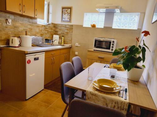 Kuchyň nebo kuchyňský kout v ubytování Apartman Orhideja
