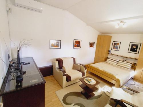 Habitación con cama, sofá y silla en Apartman Orhideja en Novi Banovci