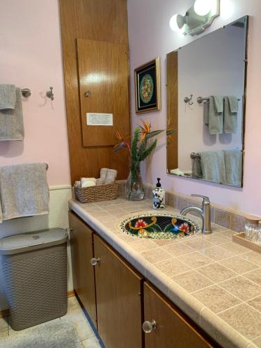 a bathroom with a sink and a mirror at The Cottage at Mount Woodson in Ramona