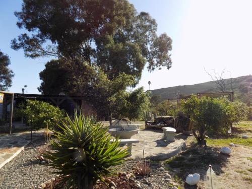 a garden with plants and trees and a building at HG Glamping in Ensenada