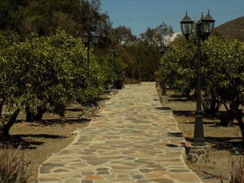a cobblestone pathway with two street lights and trees at HG Glamping in Ensenada