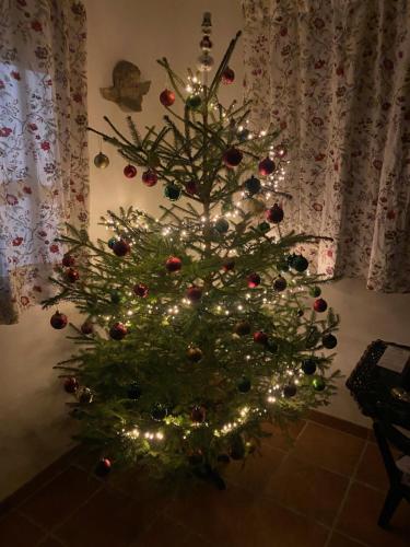 a small christmas tree with lights in a room at Chata Dorotka Kvilda in Kvilda