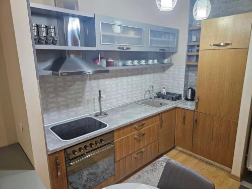 Η κουζίνα ή μικρή κουζίνα στο Apartman Andjela Zlatibor
