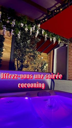 Imagen de la galería de Un petit coin de Paradis, en Toulouse