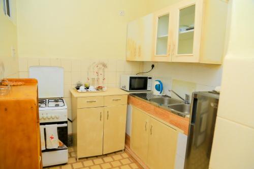 a small kitchen with a sink and a stove at Shangri-la Hotel Muyenga in Bugolobi