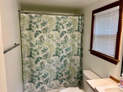 a shower curtain in a bathroom with a sink at Traveler’s Den in Medford in Medford