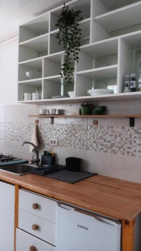 a kitchen with white shelves and a counter top at Jamie's Guest House in Roşu
