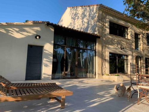 un chien debout devant un bâtiment avec banc dans l'établissement Studio attenant à Mas Provençal avec piscine, à Châteaurenard