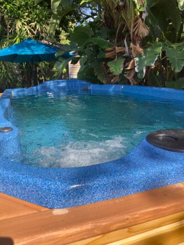 a swimming pool with a blue tile around it at 3Gulls Inn Ozona-Boutique Hotel-Steps from Restaurants & Brewery-SwimSpa Pool-Pet Friendly in Palm Harbor
