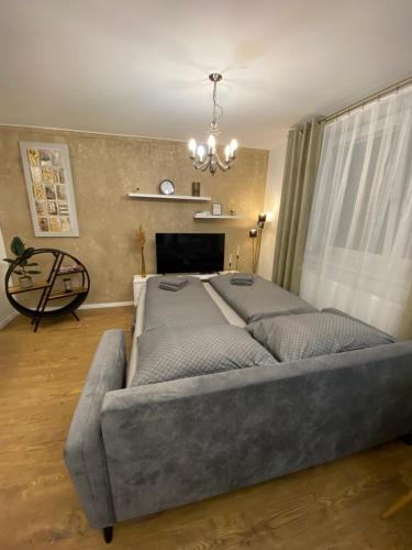 Posezení v ubytování Mountain View Apartment