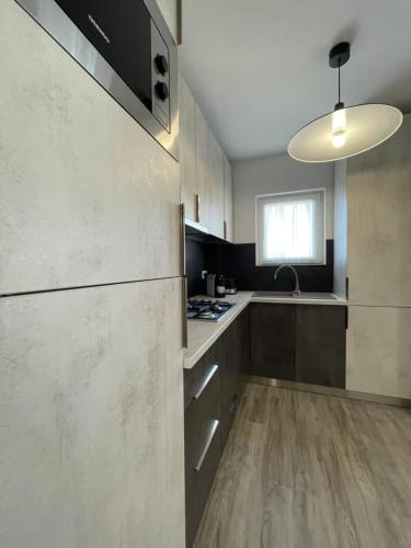 Кухня или мини-кухня в Comfort & Luxury Apartaments PNMresidence
