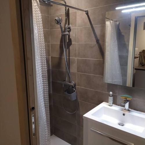 a bathroom with a shower and a sink at Appartement indépendant, calme 2 adultes, 2 étoiles in Fleuré