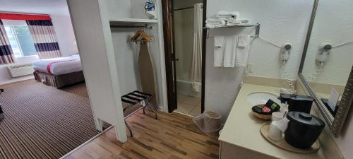 a bathroom with a sink and a shower in a hotel room at Ramada by Wyndham Mountain Home in Mountain Home