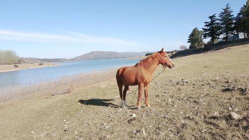 Potrero de Garay – Photos 2