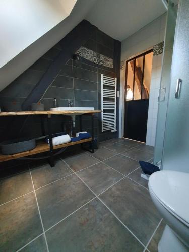 an attic bathroom with a sink and a shower at Gite de la Guernouille in Luçay-le-Mâle
