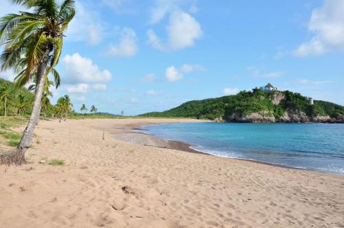 a beach with a palm tree and the ocean at Casa Mon Repos en Careyes in Careyes