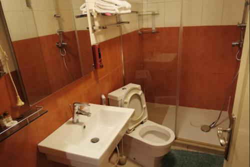 La salle de bains est pourvue de toilettes, d'un lavabo et d'une douche. dans l'établissement HOTEL DU NORD, à Béjaïa