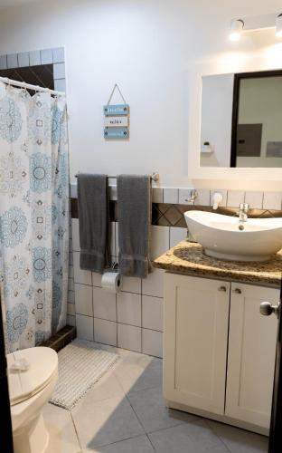 a bathroom with a sink and a toilet and a mirror at The Beach House Ground Floor Condo in Coco