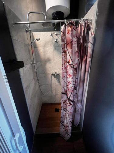 eine Dusche mit Duschvorhang im Bad in der Unterkunft Hostel Old School in Rijeka