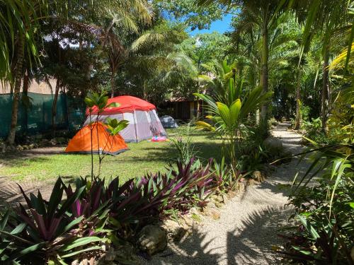 Cabañas Hostal & Camping Magic Bacalar – Photos 3