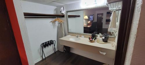 a bathroom with a sink and a mirror at Ramada by Wyndham Mountain Home in Mountain Home