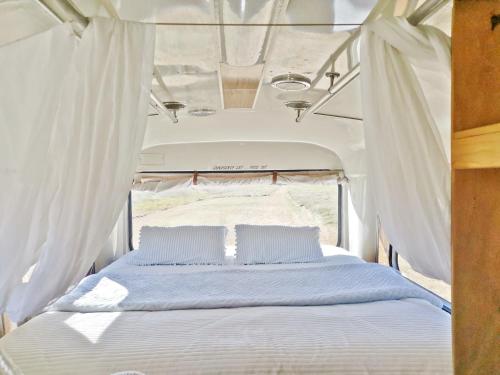ein Bett auf der Rückseite eines Van mit weißen Vorhängen in der Unterkunft Bus home wonderwander farmstay in Raworth
