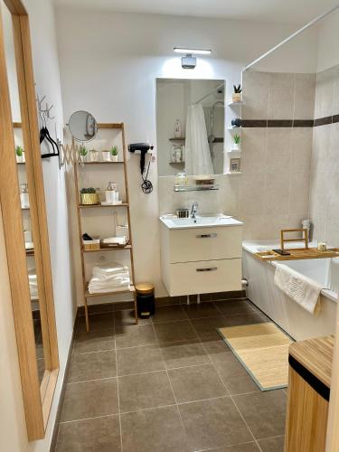 a bathroom with a sink and a mirror at Perle rare « Le Cosy de CDG » in Le Blanc-Mesnil