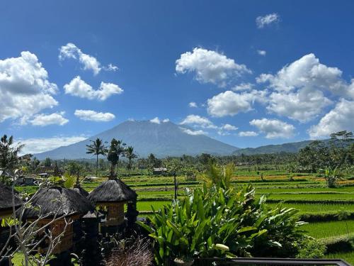a view of a field with a mountain in the background at Jero Tumbuk Private Villa in Selat