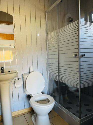a bathroom with a toilet and a glass shower at Mehuín el Remanso de Paz in Mehuín