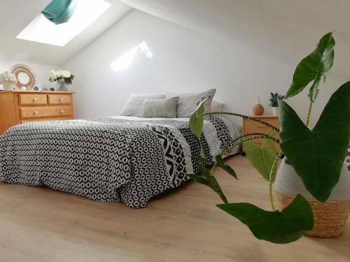 - une chambre avec un lit noir et blanc et une plante dans l'établissement Jolie appartement avec terrasse, vue sur canal, à 2min de la plage, à Palavas-les-Flots