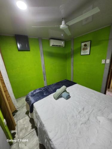 um quarto com paredes verdes e uma cama em Inf casa vacacional 